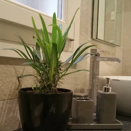 Righi24 Διαμέρισμα *